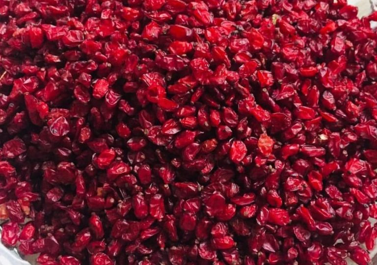 nody-طریقه-شستن-زرشک-خشک-1631811143